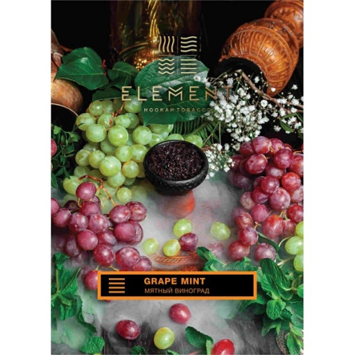 Купить Element ЗЕМЛЯ - Grape Mint (Виноград Мята) 25 г
