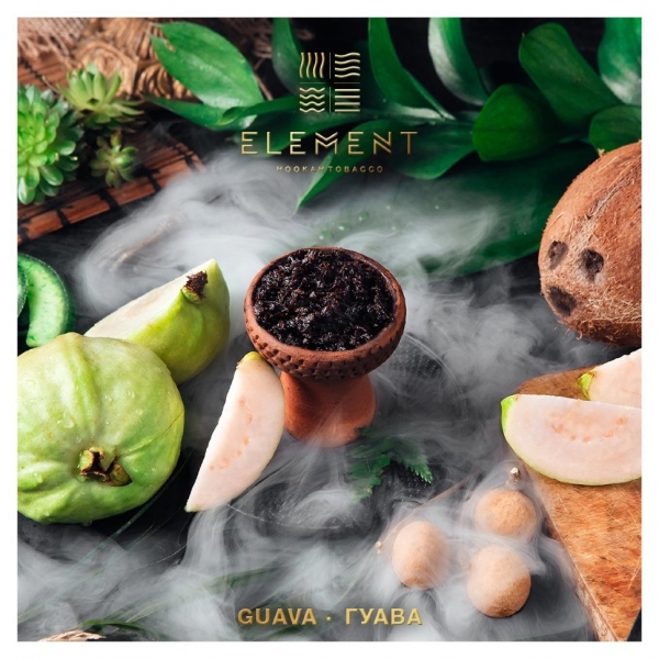 Купить Element ЗЕМЛЯ - Guava (Гуава) 100г