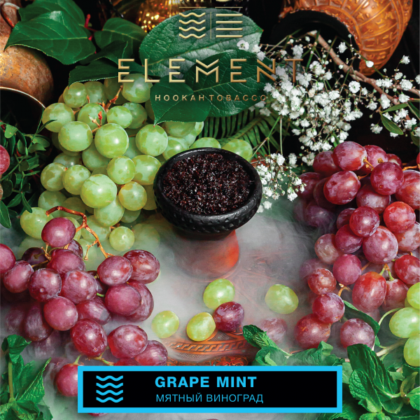Купить Element ВОДА -  Grape&Mint (Мятный виноград) 40г