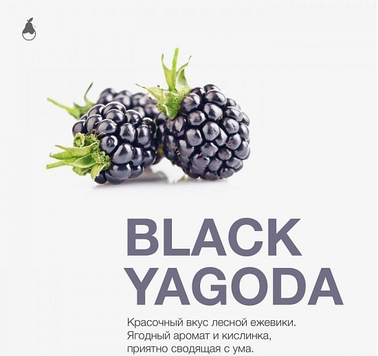 Купить Mattpear - Black Yagoda (Ежевика) 50г