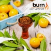 Купить Burn - Juicy Apricot (Сочный абрикос, 20 грамм)